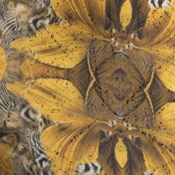 Boxer Court Safari Jaune