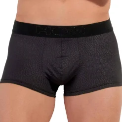 Boxer Court Temptation Florida Noir