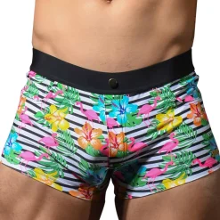 Boxer de Bain Island Tropic