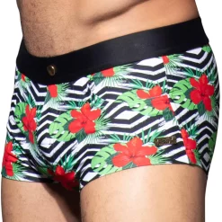 Boxer de Bain Miami