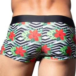 Boxer de Bain Miami