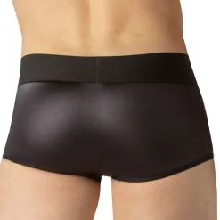 Boxer Night Universe Noir