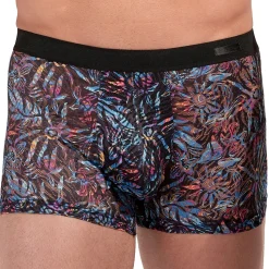 Boxer Temptation Biscayne