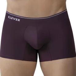 Boxer Valladolid Bordeaux