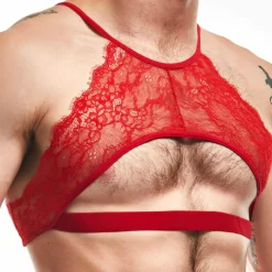 Brassière Lingerie Dentelle Rouge