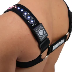 Harnais Bulldog LED Prismaglow Noir