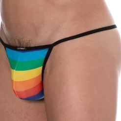 Slip Kini Renaissance Arc-En-Ciel