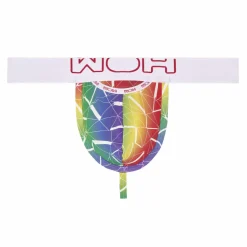 String Sexy Fun Arc-En-Ciel